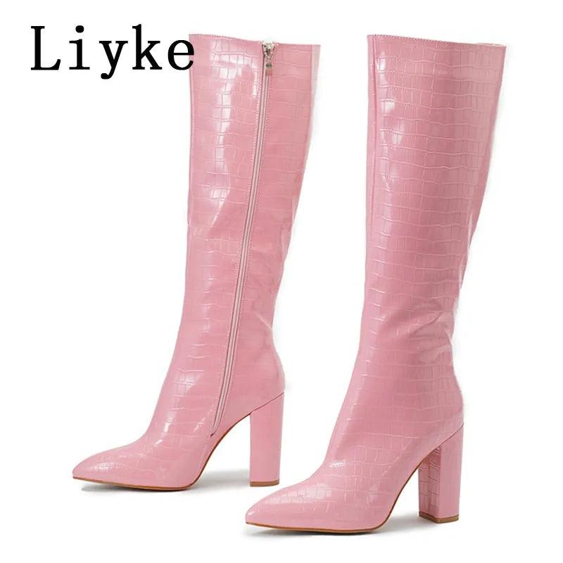 Women's Pointed Toe Knee High Boots - Alartis