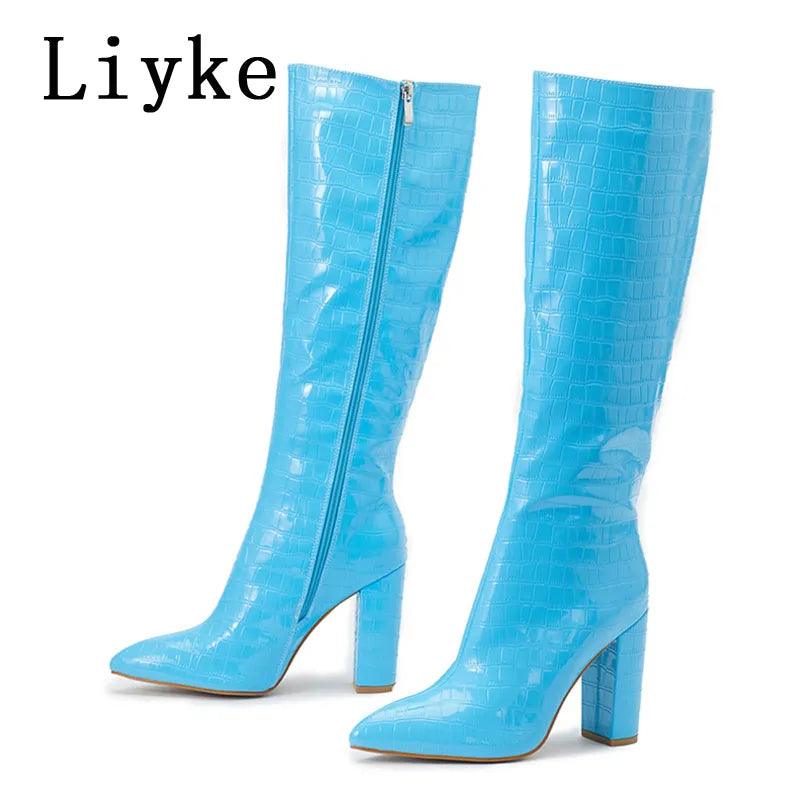 Women's Pointed Toe Knee High Boots - Alartis