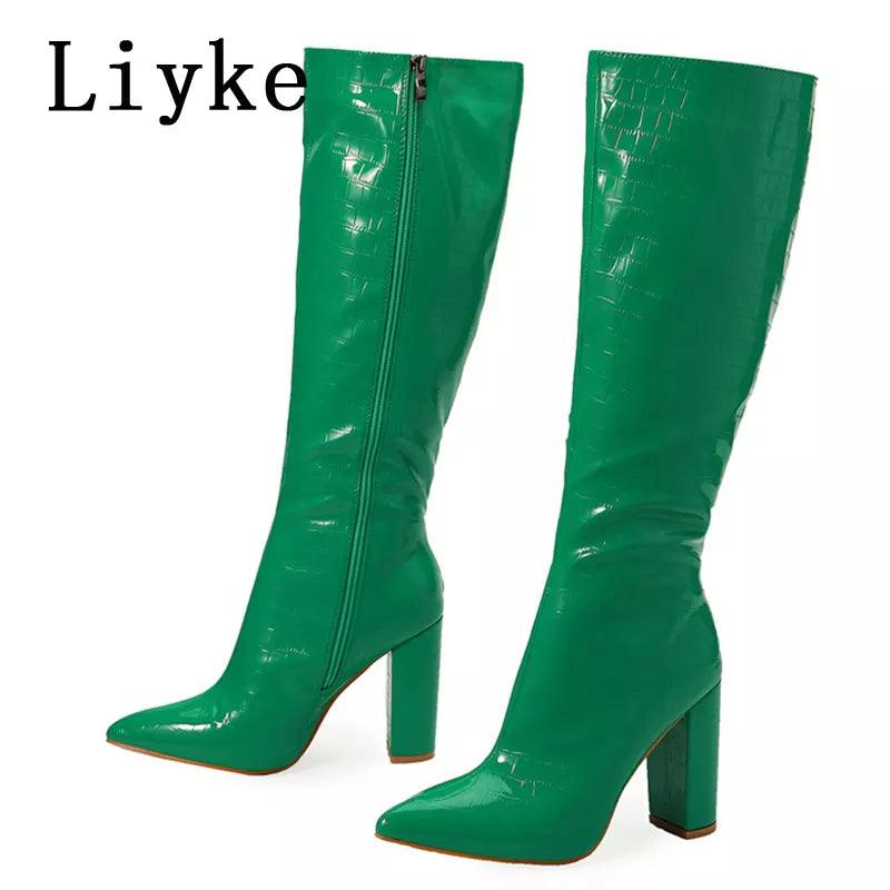 Women's Pointed Toe Knee High Boots - Alartis